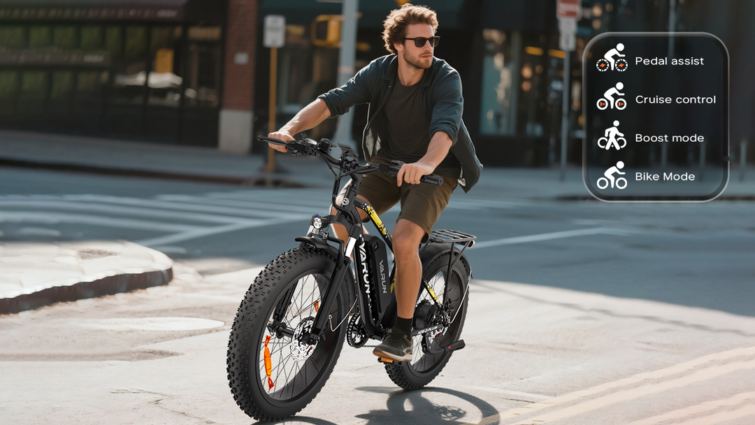 Fat tire all terrain ebike for man.