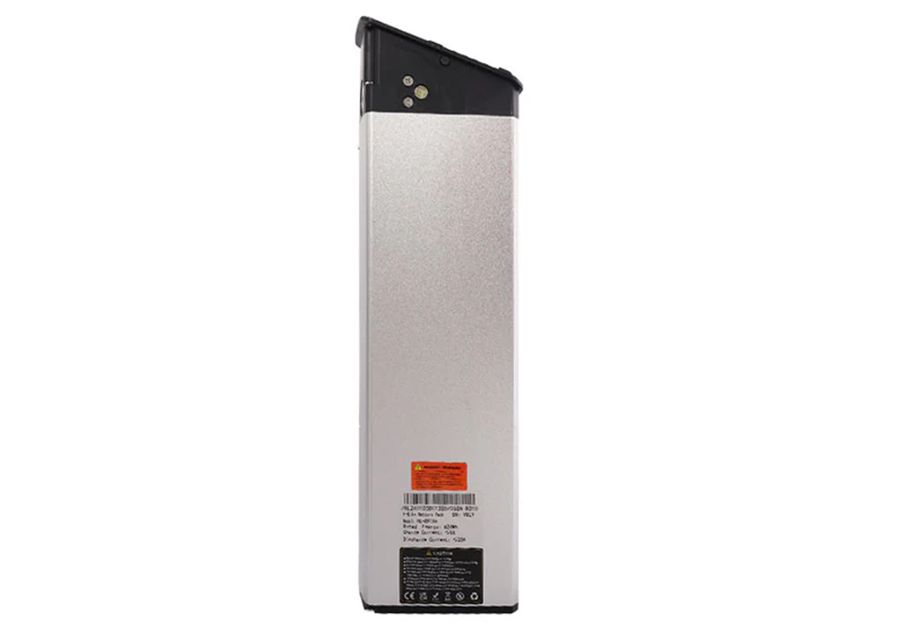 Batterie (S20-1/S20-1 PLUS)
